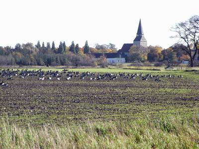 Havdhem kyrka