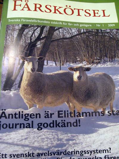 Fårskötsel